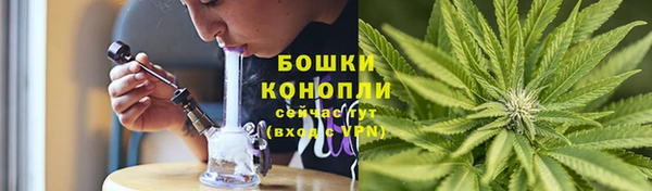 крисы Белоозёрский