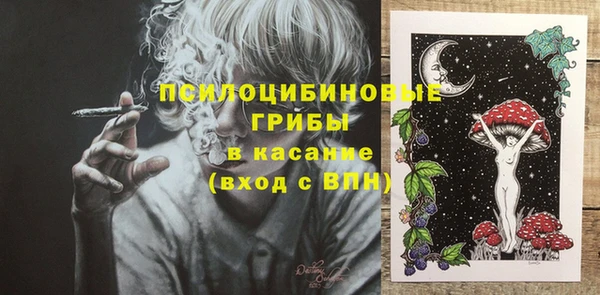 крисы Белоозёрский