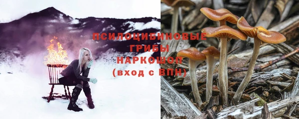 стафф Белокуриха