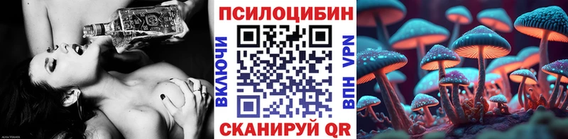 Псилоцибиновые грибы Psilocybine cubensis  Красный Кут 